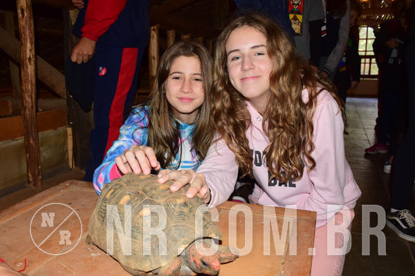 Buy your photos of the eventNR1- English e Action 05 a 08/06/18 on Fotop