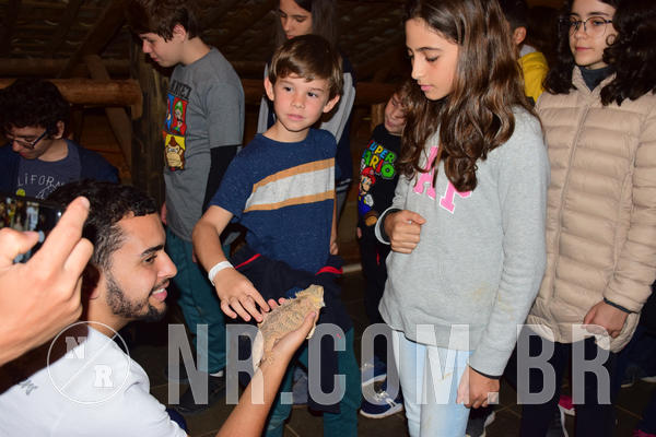 Buy your photos of the eventNR1- English e Action 05 a 08/06/18 on Fotop