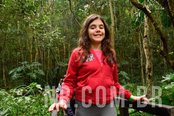 Buy your photos of the eventNR1- English e Action 05 a 08/06/18 on Fotop