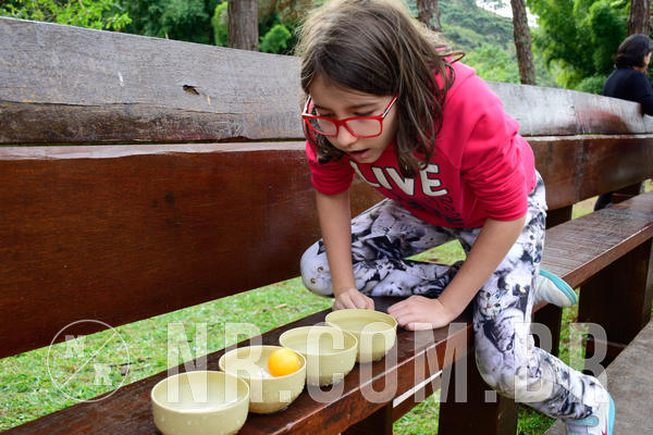 Buy your photos of the eventNR1- English e Action 05 a 08/06/18 on Fotop