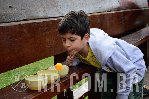 Buy your photos of the eventNR1- English e Action 05 a 08/06/18 on Fotop