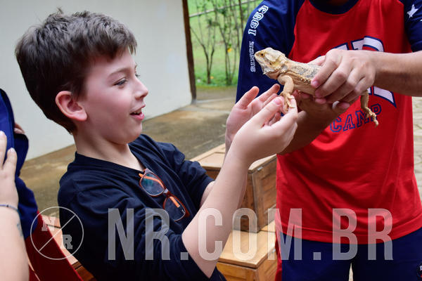 Buy your photos of the eventNR1- English e Action 05 a 08/06/18 on Fotop