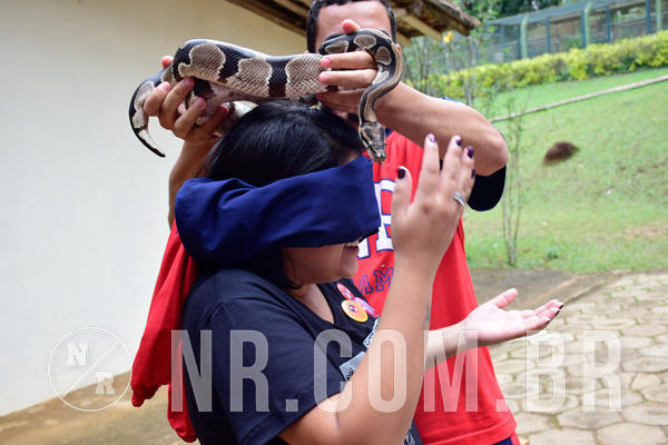 Buy your photos of the eventNR1- English e Action 05 a 08/06/18 on Fotop