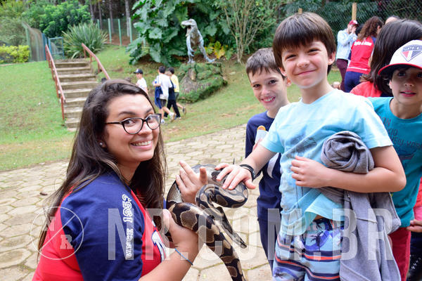 Buy your photos of the eventNR1- English e Action 05 a 08/06/18 on Fotop