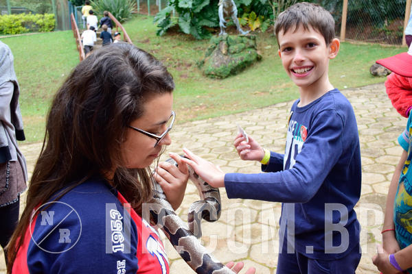 Buy your photos of the eventNR1- English e Action 05 a 08/06/18 on Fotop