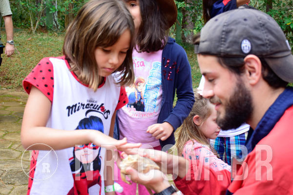 Buy your photos of the eventNR1- English e Action 05 a 08/06/18 on Fotop