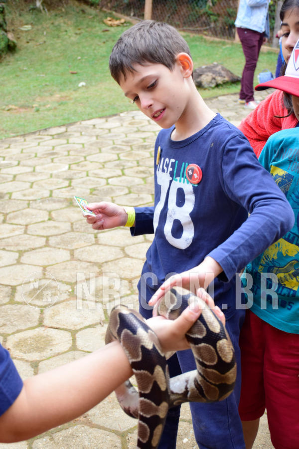 Buy your photos of the eventNR1- English e Action 05 a 08/06/18 on Fotop