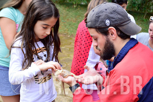 Buy your photos of the eventNR1- English e Action 05 a 08/06/18 on Fotop