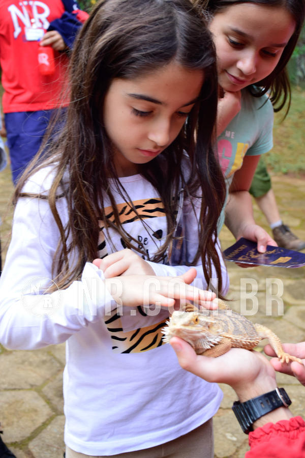 Buy your photos of the eventNR1- English e Action 05 a 08/06/18 on Fotop