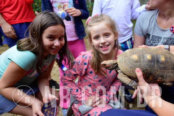 Buy your photos of the eventNR1- English e Action 05 a 08/06/18 on Fotop