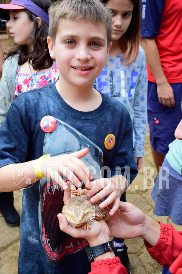 Buy your photos of the eventNR1- English e Action 05 a 08/06/18 on Fotop