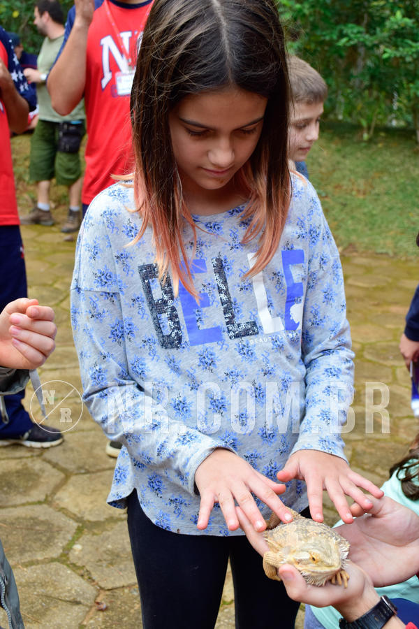 Buy your photos of the eventNR1- English e Action 05 a 08/06/18 on Fotop