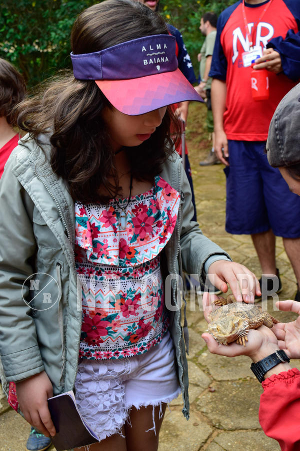 Buy your photos of the eventNR1- English e Action 05 a 08/06/18 on Fotop