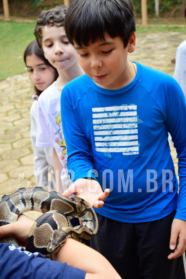 Buy your photos of the eventNR1- English e Action 05 a 08/06/18 on Fotop