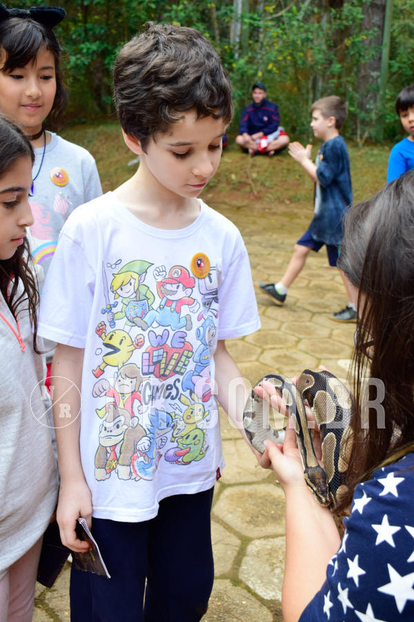 Buy your photos of the eventNR1- English e Action 05 a 08/06/18 on Fotop