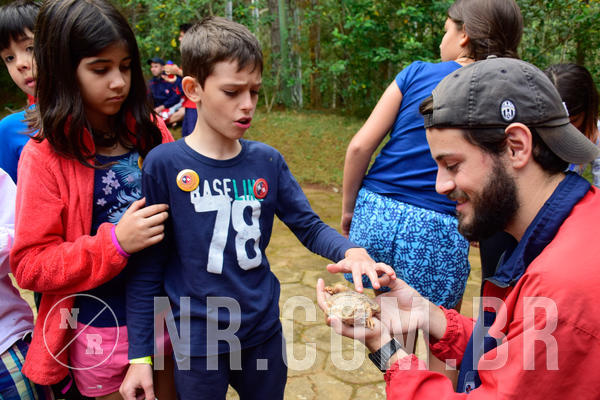 Buy your photos of the eventNR1- English e Action 05 a 08/06/18 on Fotop