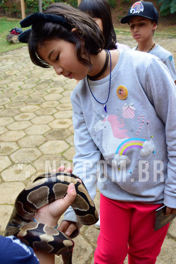 Buy your photos of the eventNR1- English e Action 05 a 08/06/18 on Fotop