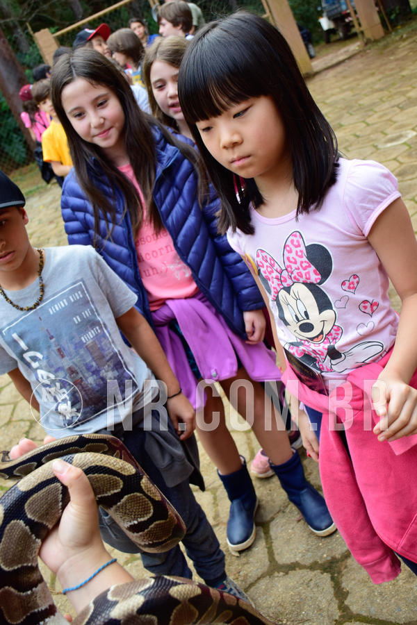 Buy your photos of the eventNR1- English e Action 05 a 08/06/18 on Fotop