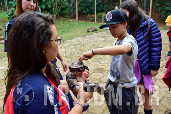 Buy your photos of the eventNR1- English e Action 05 a 08/06/18 on Fotop