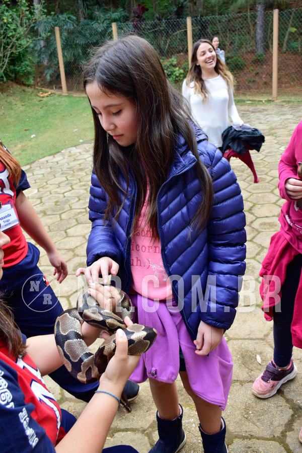 Buy your photos of the eventNR1- English e Action 05 a 08/06/18 on Fotop