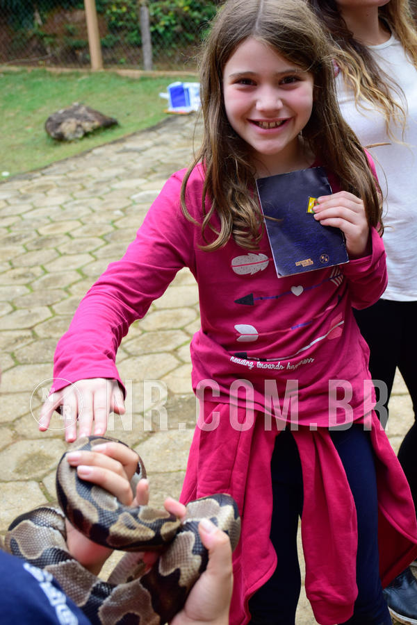 Buy your photos of the eventNR1- English e Action 05 a 08/06/18 on Fotop