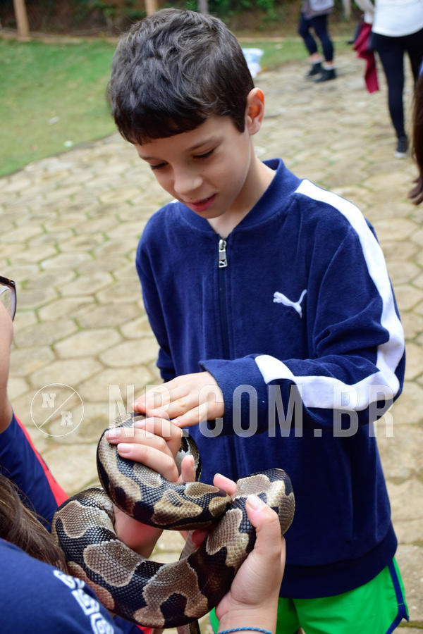 Buy your photos of the eventNR1- English e Action 05 a 08/06/18 on Fotop