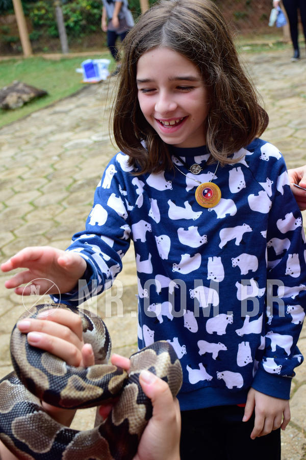 Buy your photos of the eventNR1- English e Action 05 a 08/06/18 on Fotop