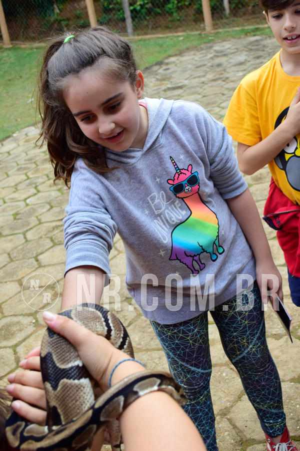 Buy your photos of the eventNR1- English e Action 05 a 08/06/18 on Fotop