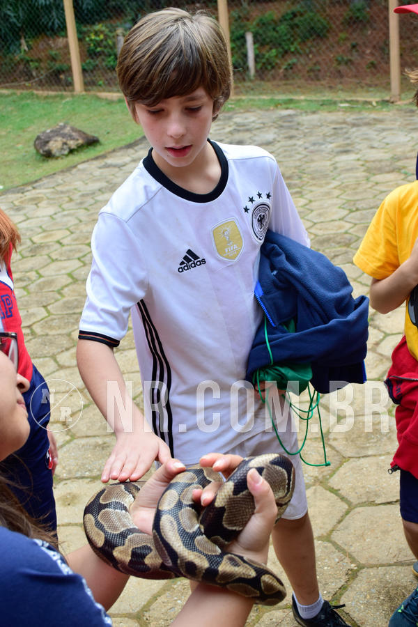 Buy your photos of the eventNR1- English e Action 05 a 08/06/18 on Fotop