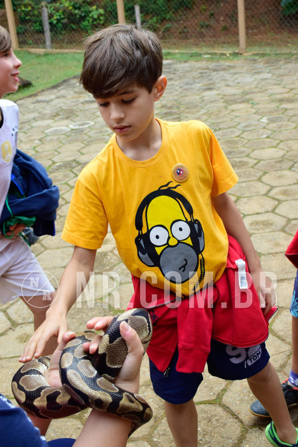 Buy your photos of the eventNR1- English e Action 05 a 08/06/18 on Fotop