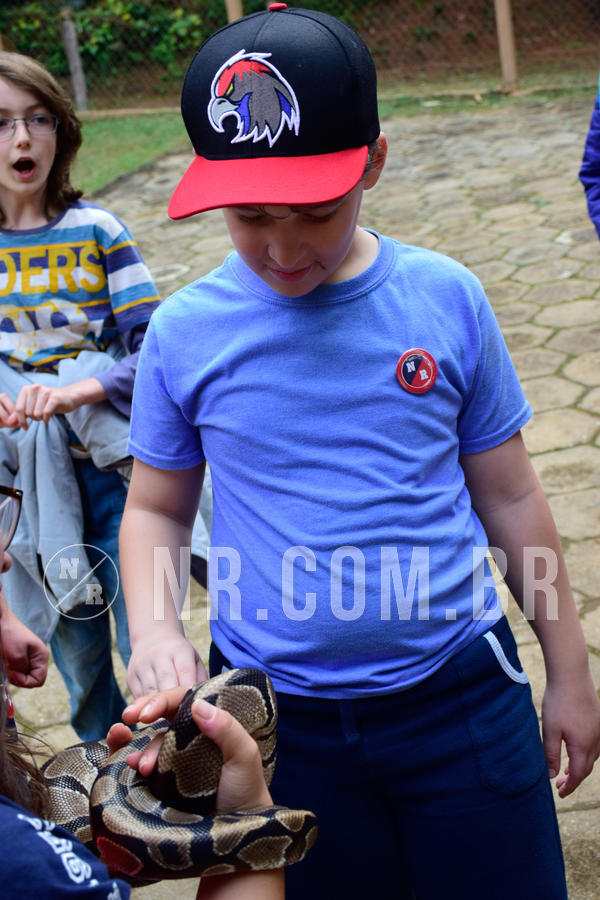 Buy your photos of the eventNR1- English e Action 05 a 08/06/18 on Fotop