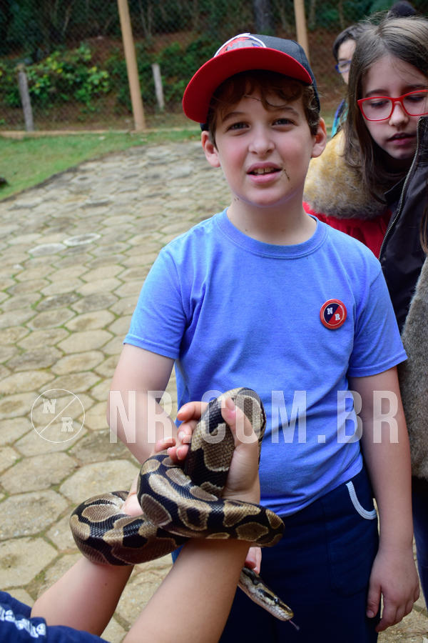 Buy your photos of the eventNR1- English e Action 05 a 08/06/18 on Fotop