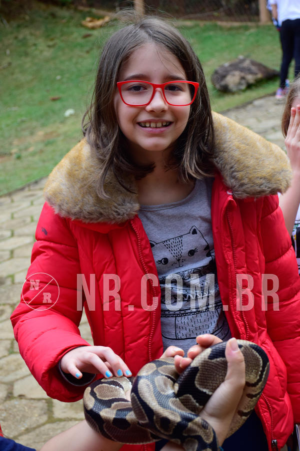 Buy your photos of the eventNR1- English e Action 05 a 08/06/18 on Fotop