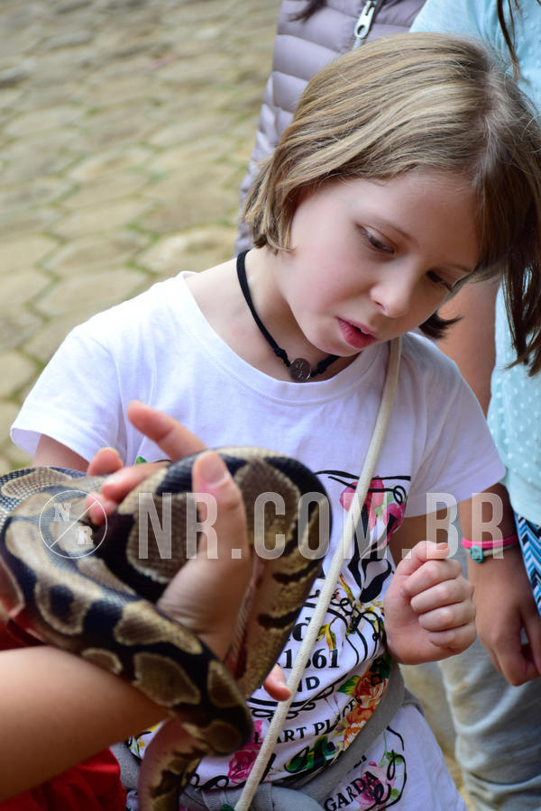 Buy your photos of the eventNR1- English e Action 05 a 08/06/18 on Fotop