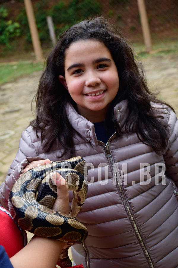 Buy your photos of the eventNR1- English e Action 05 a 08/06/18 on Fotop