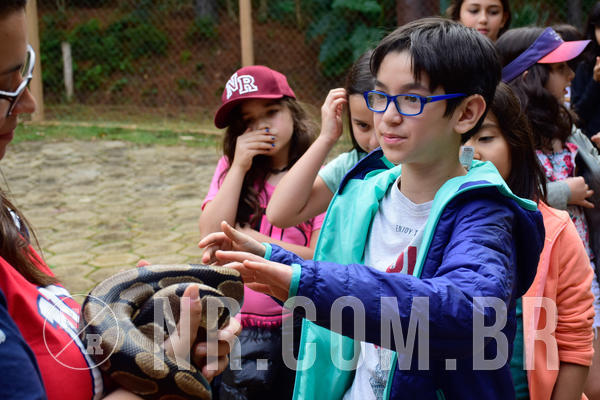 Buy your photos of the eventNR1- English e Action 05 a 08/06/18 on Fotop