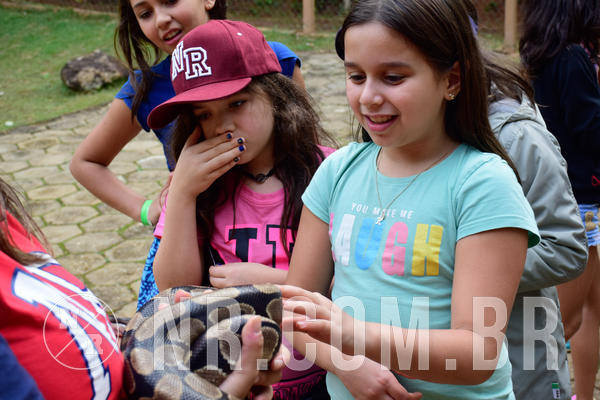 Buy your photos of the eventNR1- English e Action 05 a 08/06/18 on Fotop