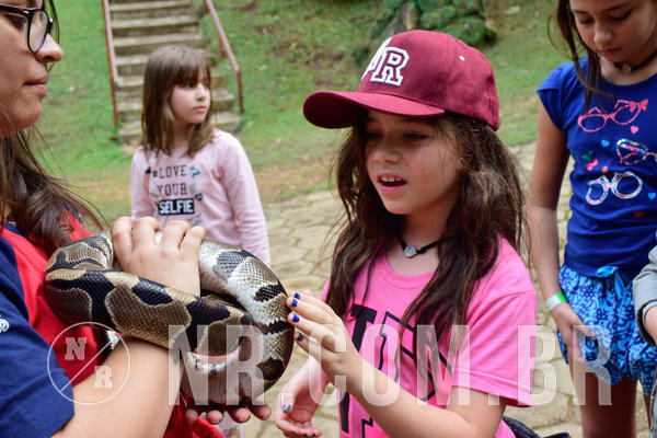 Buy your photos of the eventNR1- English e Action 05 a 08/06/18 on Fotop