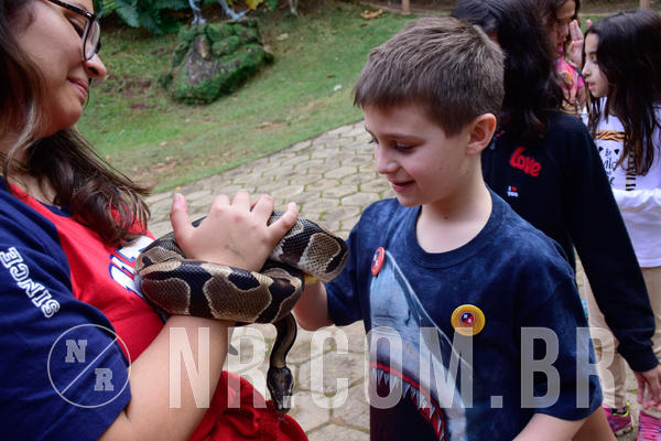 Buy your photos of the eventNR1- English e Action 05 a 08/06/18 on Fotop