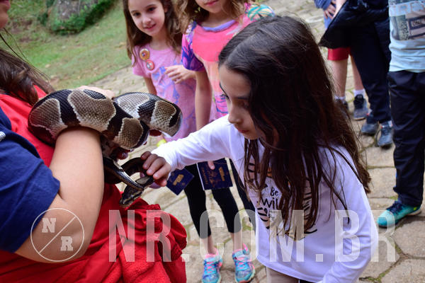 Buy your photos of the eventNR1- English e Action 05 a 08/06/18 on Fotop