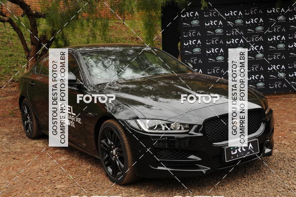 Buy your photos of the eventIntegra Run - Integrao entre Corredores, Academias e Assessorias.  on Fotop