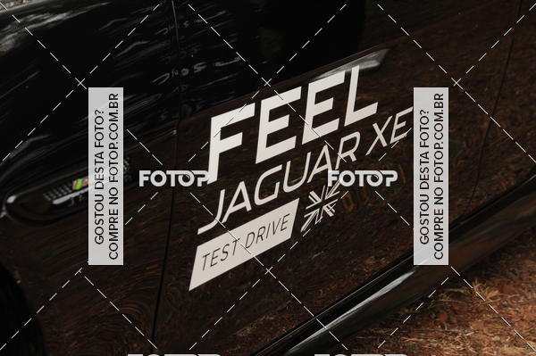 Buy your photos of the eventIntegra Run - Integrao entre Corredores, Academias e Assessorias.  on Fotop