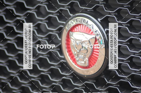 Buy your photos of the eventIntegra Run - Integrao entre Corredores, Academias e Assessorias.  on Fotop