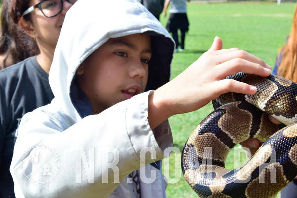 Buy your photos of the eventNR2 - English & Action 08 a 10/06/18 on Fotop