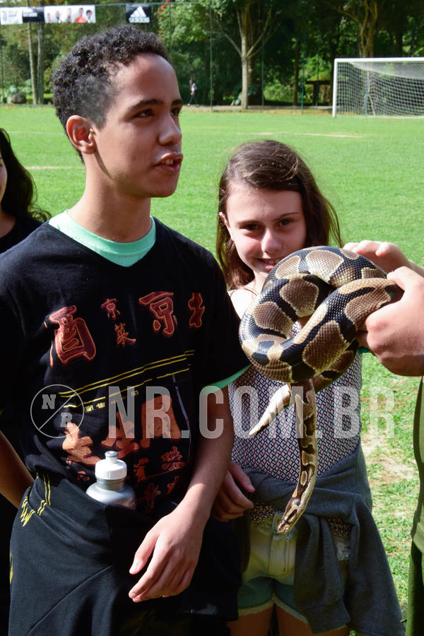 Buy your photos of the eventNR2 - English & Action 08 a 10/06/18 on Fotop