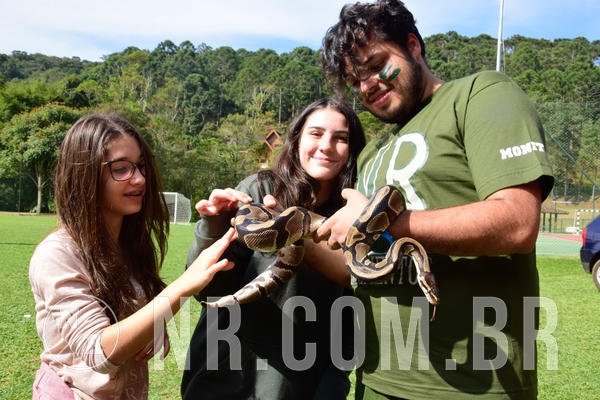 Buy your photos of the eventNR2 - English & Action 08 a 10/06/18 on Fotop