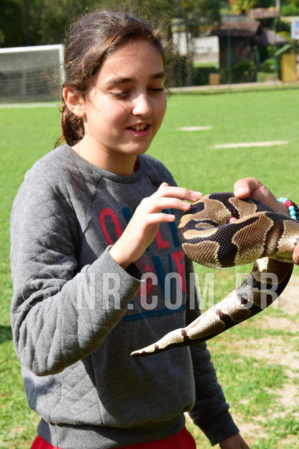 Buy your photos of the eventNR2 - English & Action 08 a 10/06/18 on Fotop