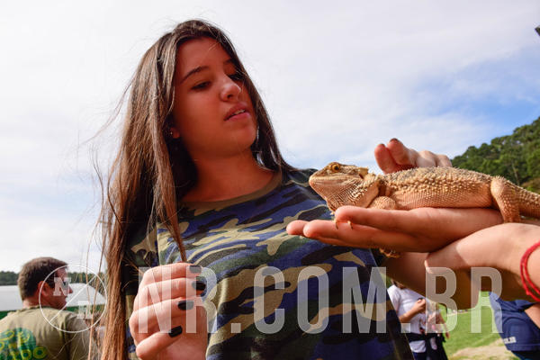 Buy your photos of the eventNR2 - English & Action 08 a 10/06/18 on Fotop