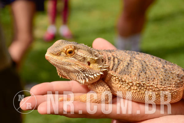 Buy your photos of the eventNR2 - English & Action 08 a 10/06/18 on Fotop