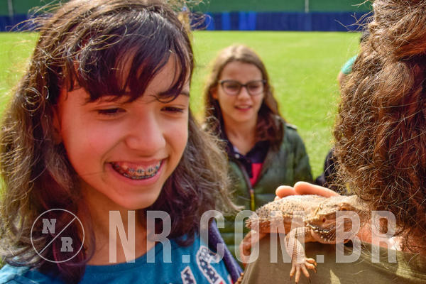 Buy your photos of the eventNR2 - English & Action 08 a 10/06/18 on Fotop